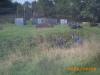picture017id8_t1.jpg